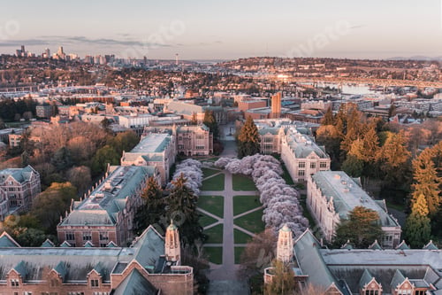 Preview: Aerial view of the cherry blossoms of the University of Washington in Seattle during sunrise