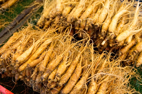 Preview: Fresh ginseng