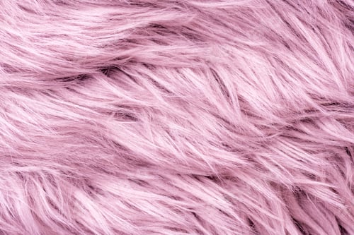 Preview: Pink fur texture top view. Pink sheepskin background. Fur pattern. Texture of pink shaggy fur