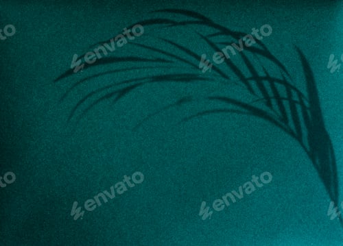 Preview: Shadow of leaves on a green wall