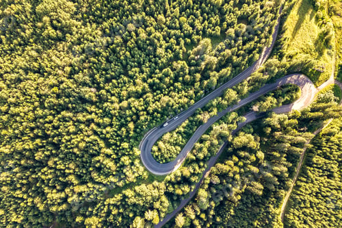 Preview: Aerial view of winding road in high mountain pass trough dense green pine woods.