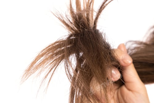 Preview: Health codition of female hair on white background