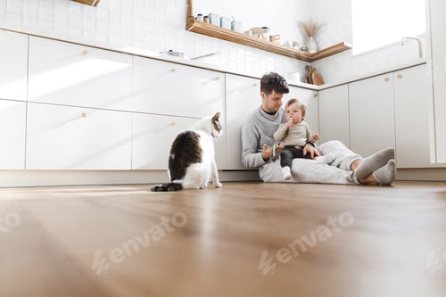 Preview: Happy baby and father playing on the floor with cute cats in modern kitchen