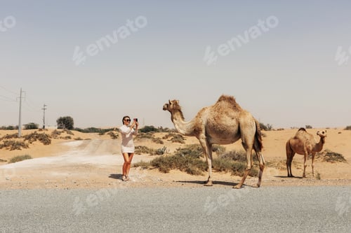 Preview: An attractive girl poses next to camels during a trip to the desert