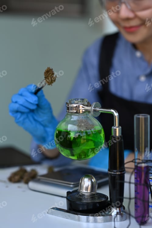 Preview: Cropped shot female scientist putting dry sample of cannabis into test tube.