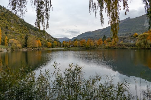 Preview: Autumn hues adorn trees and reflect beautifully on the serene lake at a picturesque location