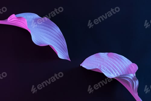 Preview: Futuristic leaves of a plant in cyberspace on a black background.