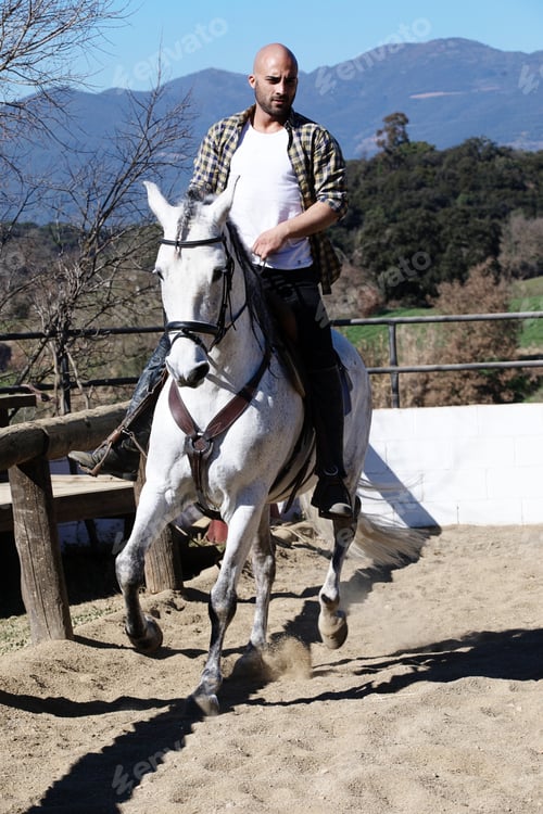 Preview: Young guy in casual outfit riding white horse on sandy ground