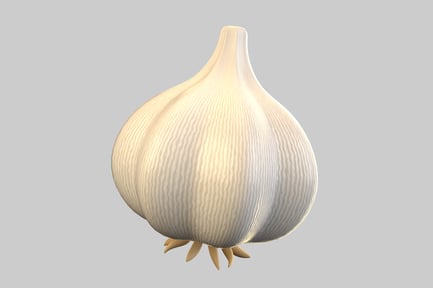 Preview: Realistic whole garlic bulb asset