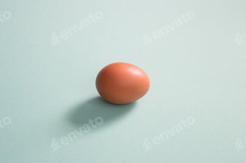 Preview: Brown egg on pale green background located in the center