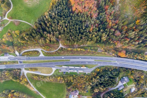 Preview: Top dawn aerial view of freeway speed road between yellow autumn forest trees in rural area.
