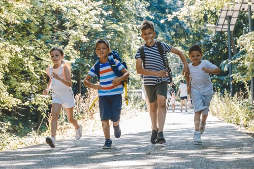 Preview: Education in nature