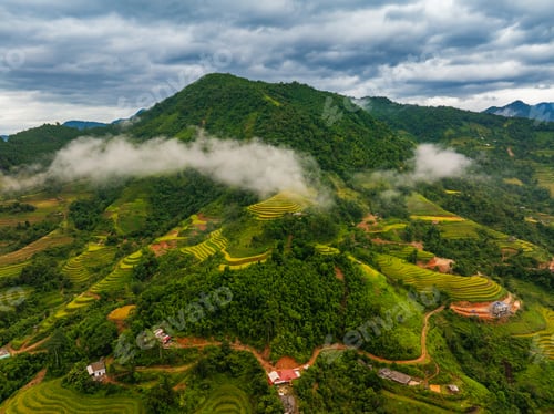 Preview: Aerial drone view of rice terrace field in the mist, northern of Vietnam