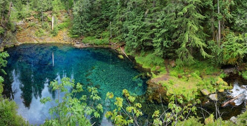 Preview: Clear Blue Tamolitch pool