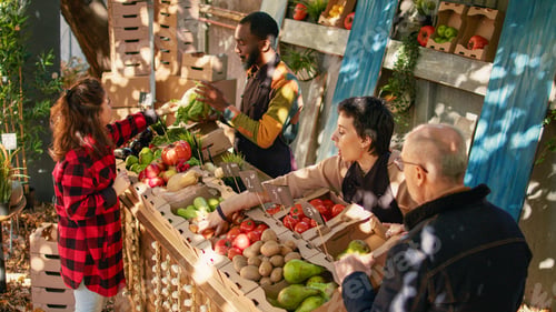 Preview: Small business owner selling natural organic produce box to woman