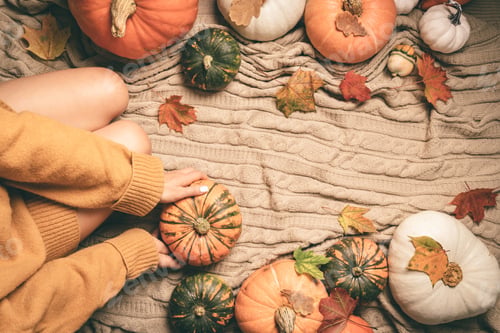 Preview: woman sitting between pumpkins
