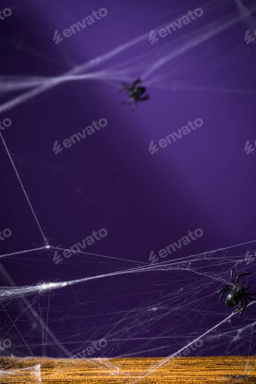 Preview: Eerie Spiderwebs and Spiders on Purple Backdrop