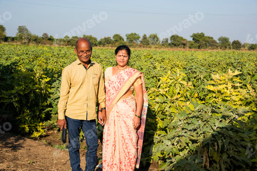Preview: Happy Indian farmer couple at brinjal farm, enjoying nature.