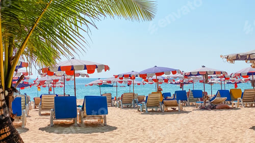 Preview: Coconut trees on island beach and summer vacation