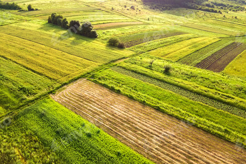 Preview: Aerial view of green agricultural fields in spring with fresh vegetation after seeding season