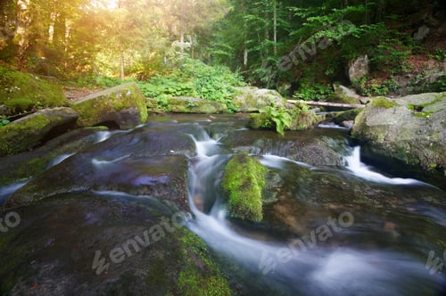 Preview: Mountain stream flowing through the green forest.