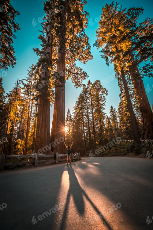 Preview: Shadow of a young woman with arms raised on a road in Sequoia National Park