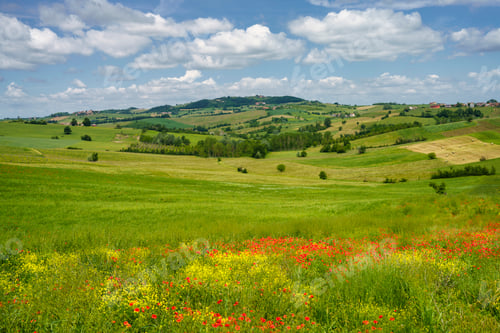 Preview: Landscape on the Tortona hills at springtime.
