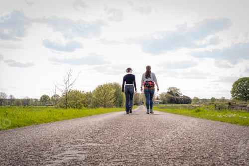 Preview: Two individuals walking down a rural road surrounded by green grass under a cloudy sky.