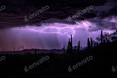 Preview: Arizona Thunderstorm