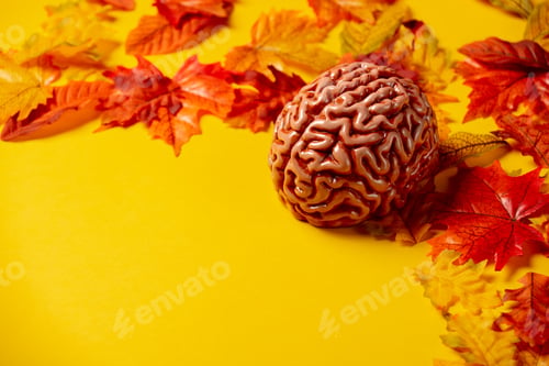 Preview: Human brain with autumn leaves on yellow background. Top view