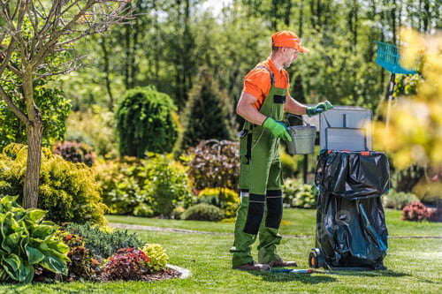 Preview: Gardener Cleans Private Yard Area After Routine Maintenance.
