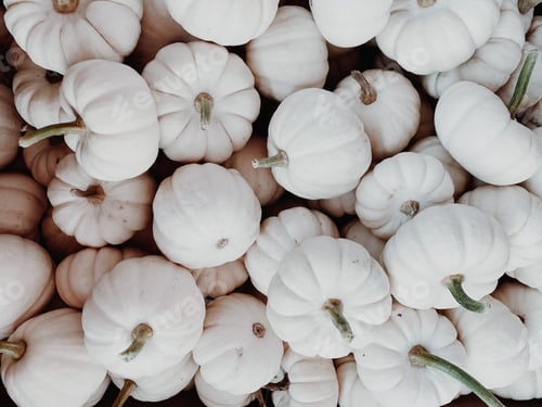 Preview: Pumpkins