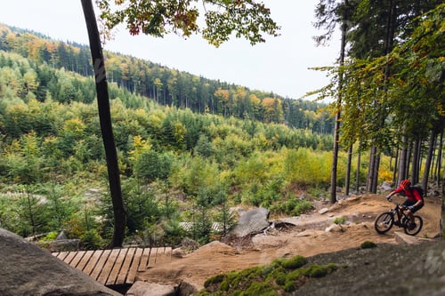 Preview: Mountain biker riding cycling in autumn forest