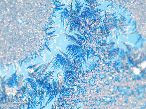 Preview: Frozen beauty