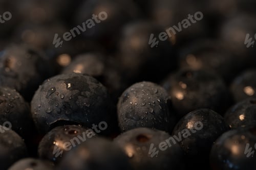 Preview: Close up of blueberries