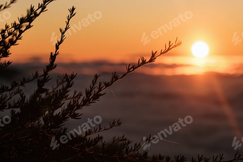 Preview: a spectacular sunset above the clouds in the national Park of the volcano Teide on Tenerife