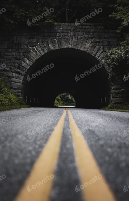 Preview: Vertical shot of a long road going through a tunnel surrounded by trees