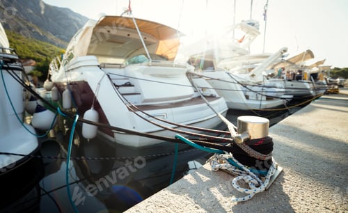 Preview: Picture of luxury white yachts in harbor