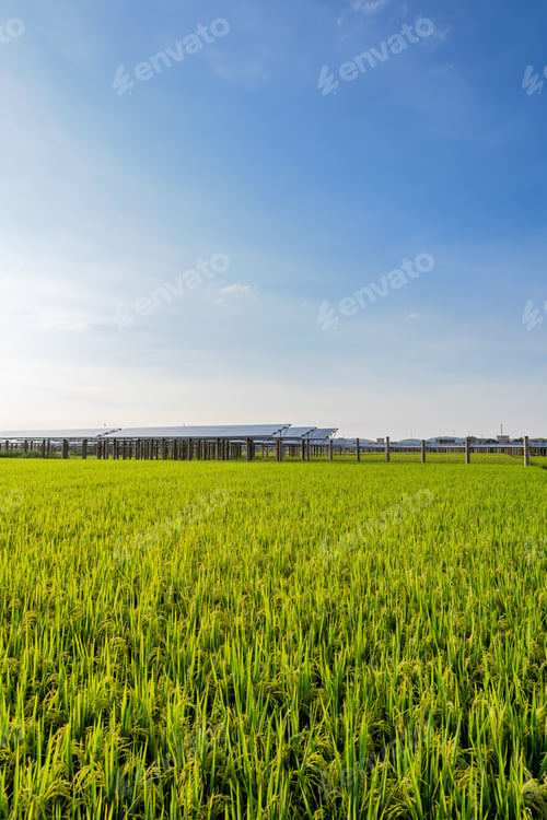 Preview: Solar power plant