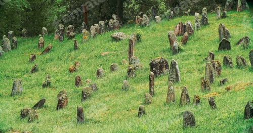 Preview: Old ancient Jewish cemetery in summer spring day. Druya, Belarus. green grass and many ancient