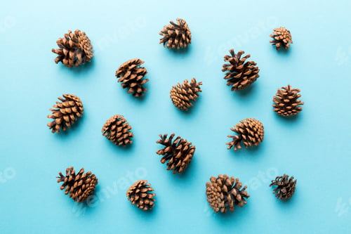 Preview: pine cones on colored table. natural holiday background with pinecones grouped together.