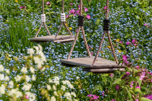 Preview: Closeup shot of the two wooden swings in a field with colorful flowers