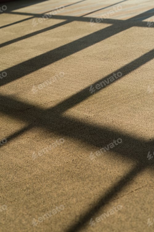 Preview: carpet with abstract lines on surface, sunlight on the rug, silhouettes and shadows on the floor