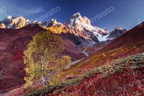 Preview: Autumn landscape and snowy mountain peaks.