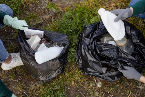 People Picking Up Trash in Bags Outdoors
