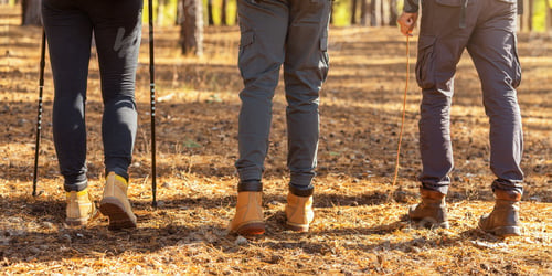 Preview: Legs of three hikers crossing forest in autumn