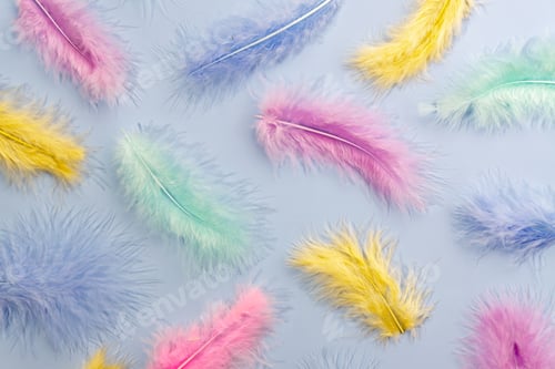 Preview: Colorful feather pastel background for designers. Lightweight tropical beard feathers scattered on b