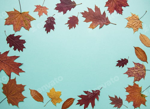 Preview: Autumn composition