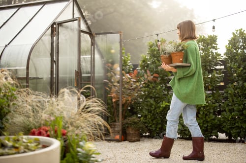 Preview: Woman with plants near greenhouse at backyard