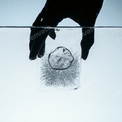 Preview: cropped view of person holding ice cube in water, isolated on white